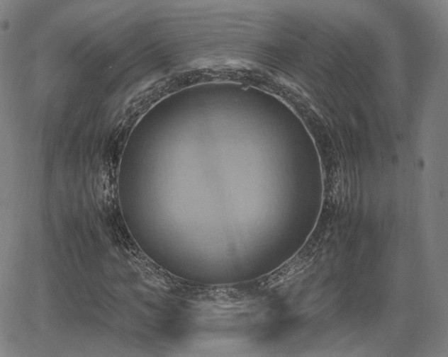 X0000064040966200601301144