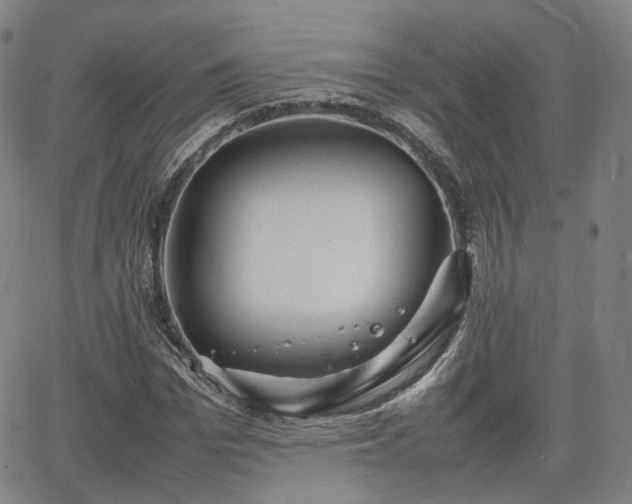 X0000064040969200601301144