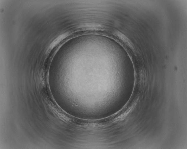 X0000064040970200601301144