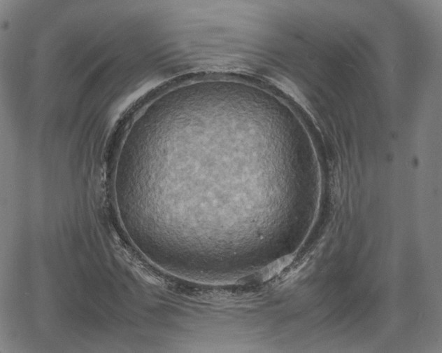 X0000064040971200601301144