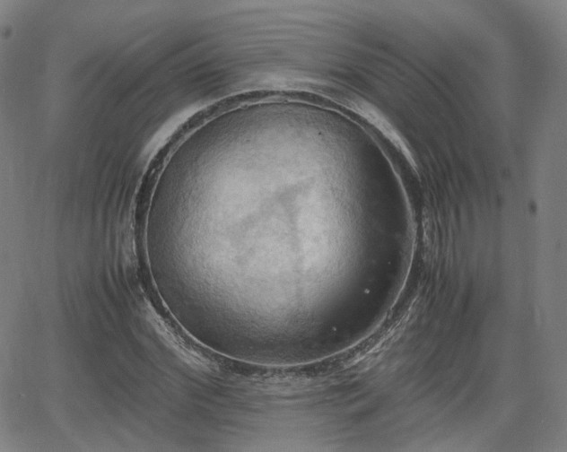 X0000064040972200601301144