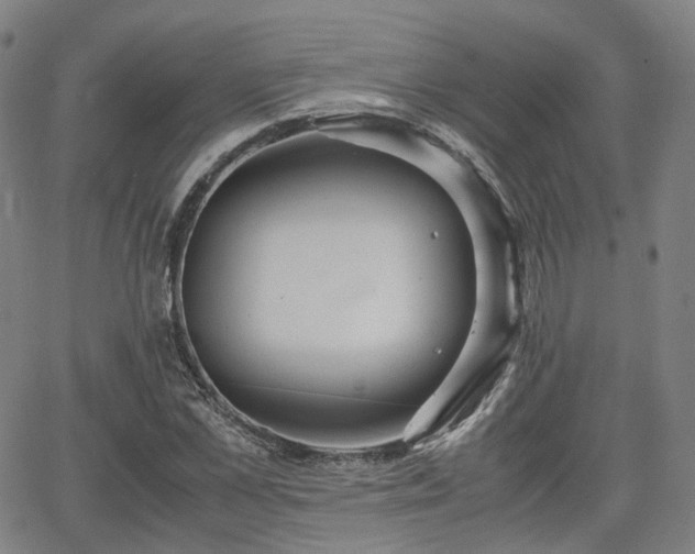 X0000064040973200601301144