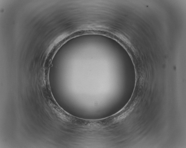 X0000064040974200601301144