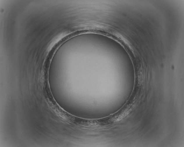 X0000064040975200601301144