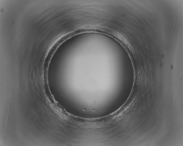 X0000064040976200601301144