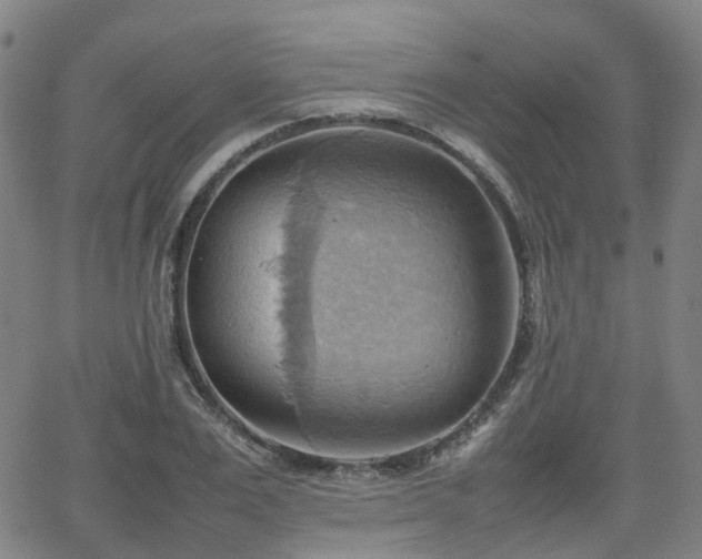 X0000064040983200601301144