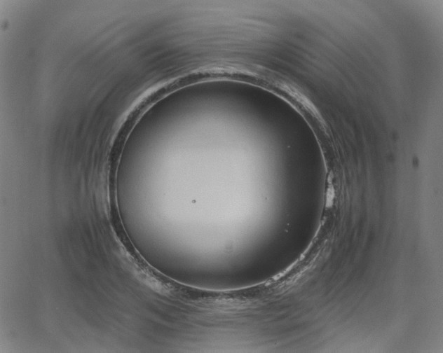 X0000064040984200601301144