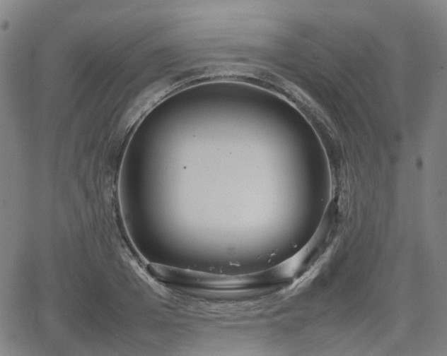 X0000064040985200601301144