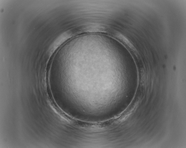 X0000064040986200601301144