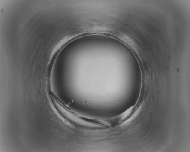 X0000064040989200601301144