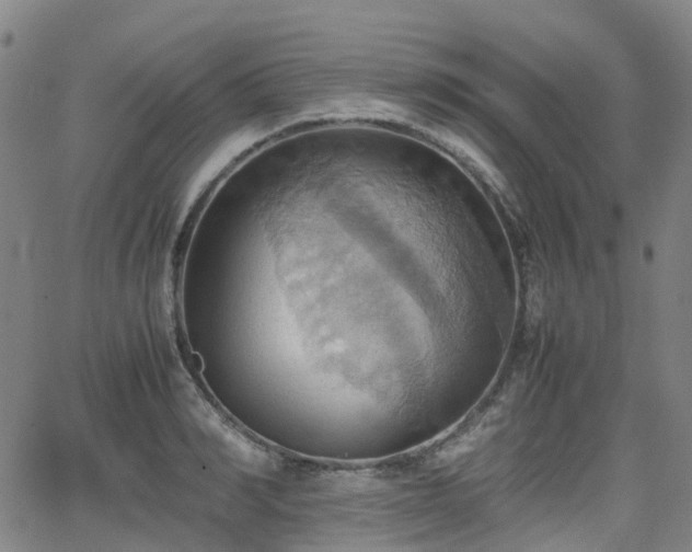 X0000064040990200601301144