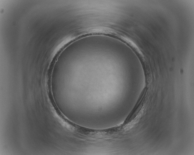 X0000064040991200601301144