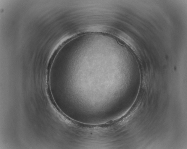 X0000064040992200601301144