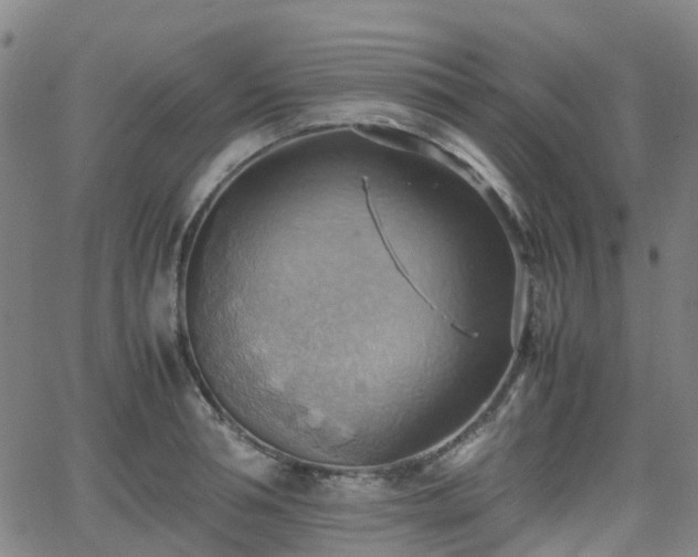 X0000064040994200601301144