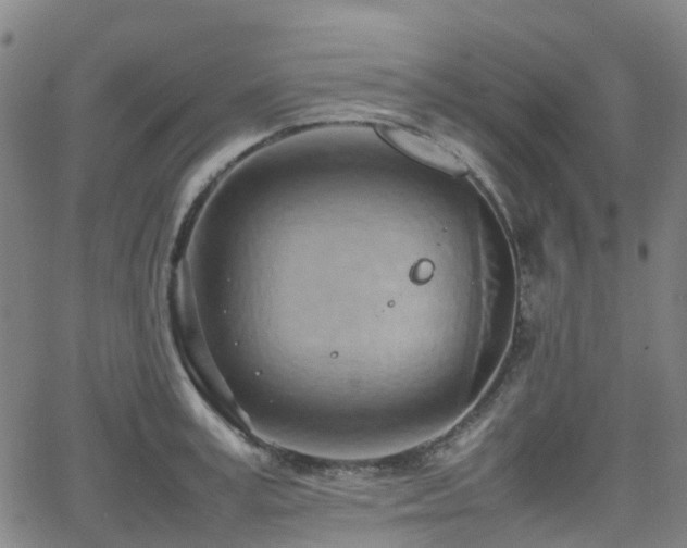 X0000064040995200601301144