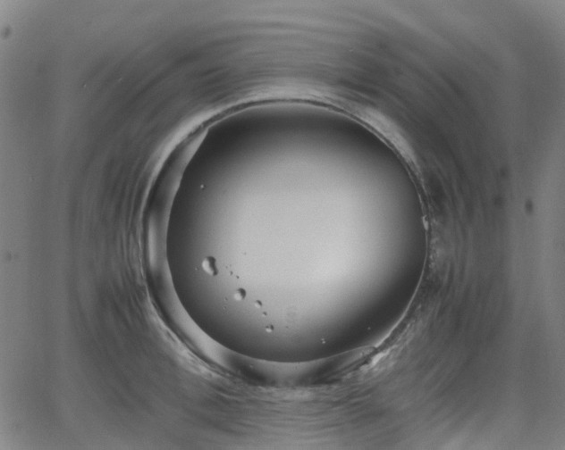 X0000064040996200601301144