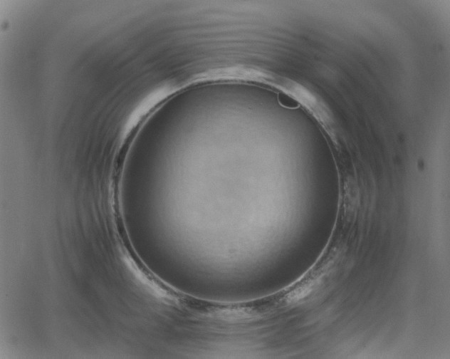 X0000064040998200601301144