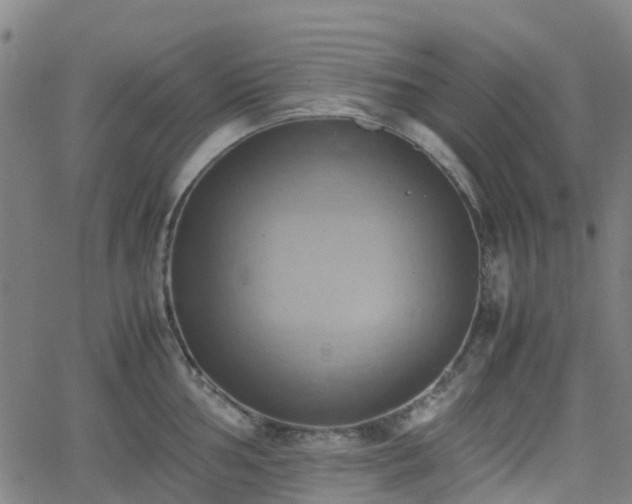 X0000064041002200601301144