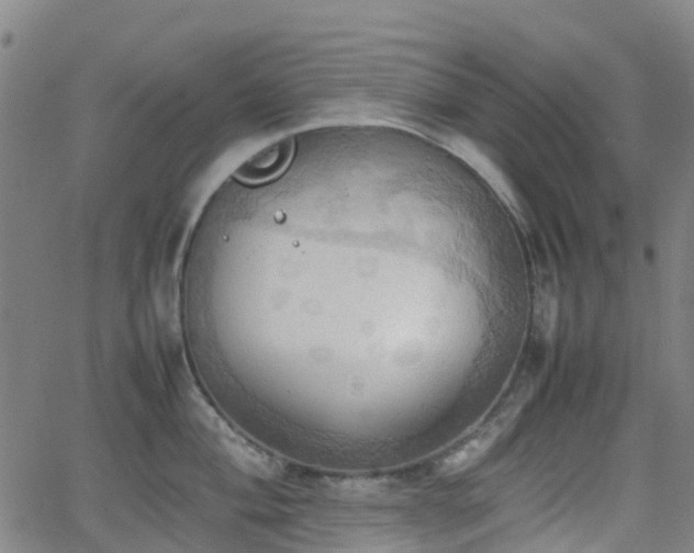 X0000064041004200601301144