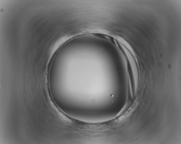 X0000064041005200601301144