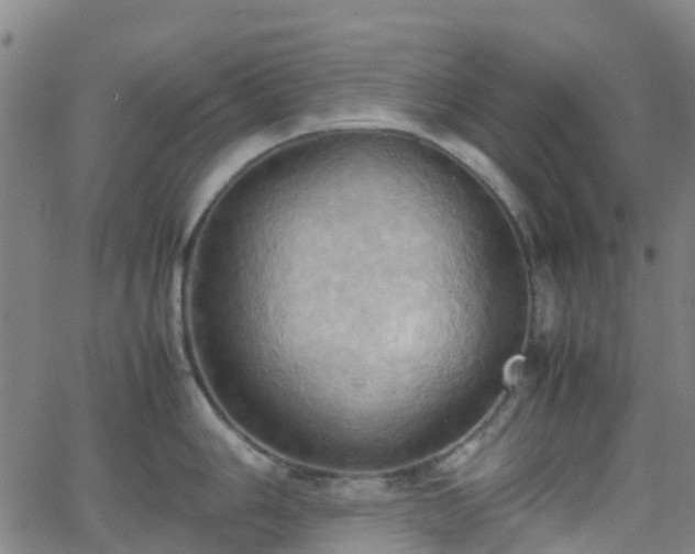 X0000064041006200601301144