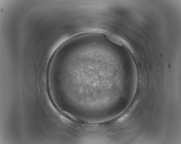 X0000064041007200601301144