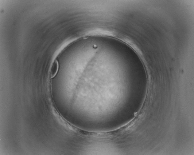 X0000064041008200601301144