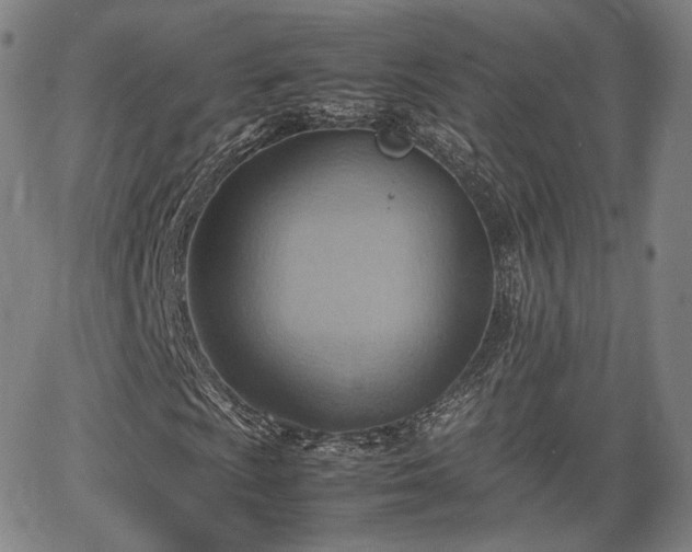 X0000064041009200601301143