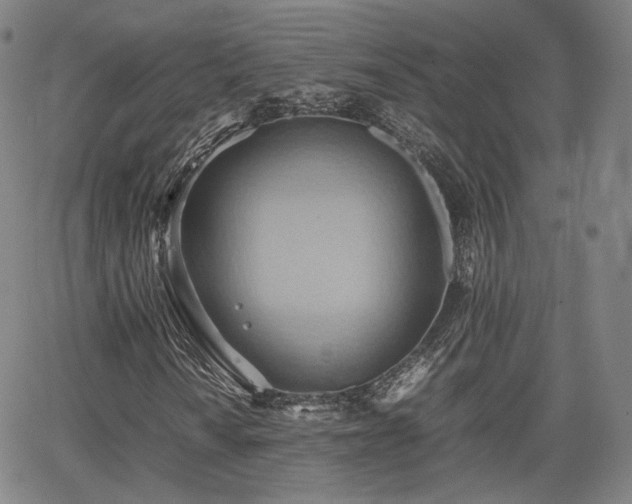 X0000064041010200601301143