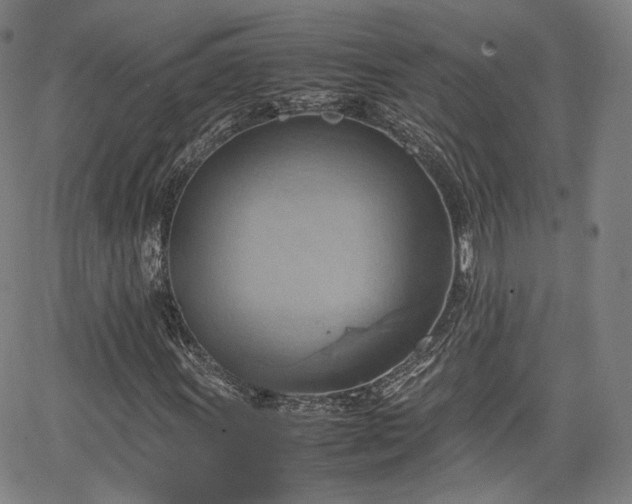 X0000064041011200601301143