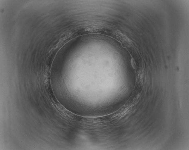 X0000064041012200601301143