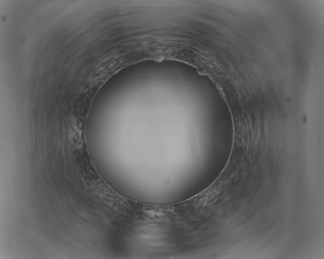 X0000064041013200601301143