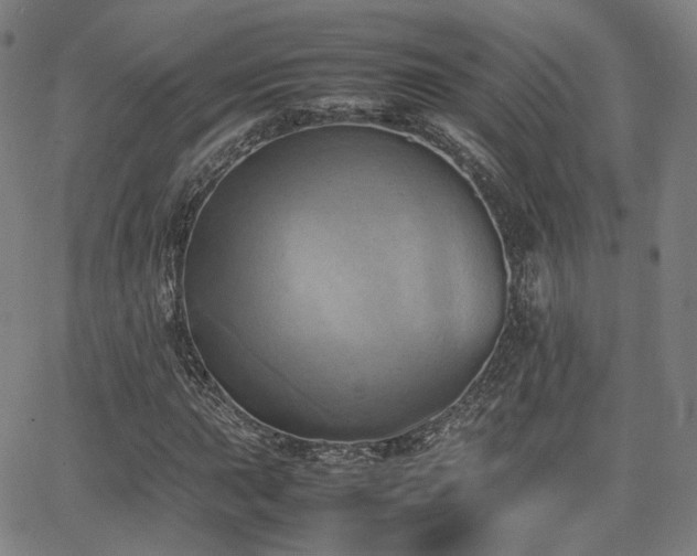 X0000064041015200601301143