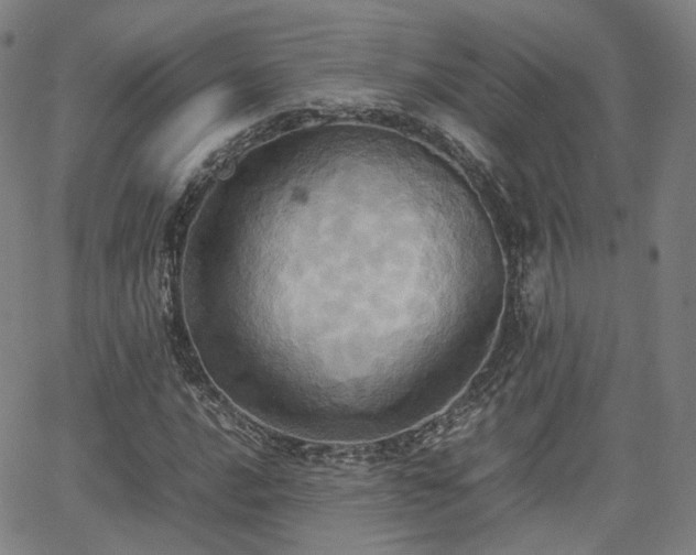 X0000064041016200601301143