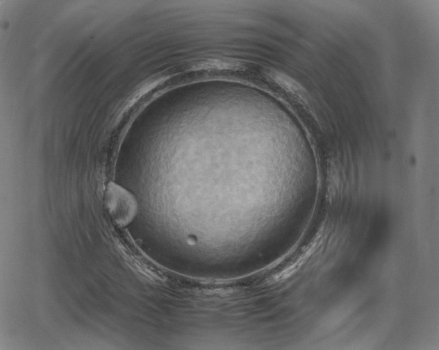 X0000064041017200601301143