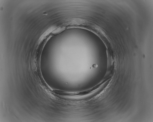 X0000064041018200601301143