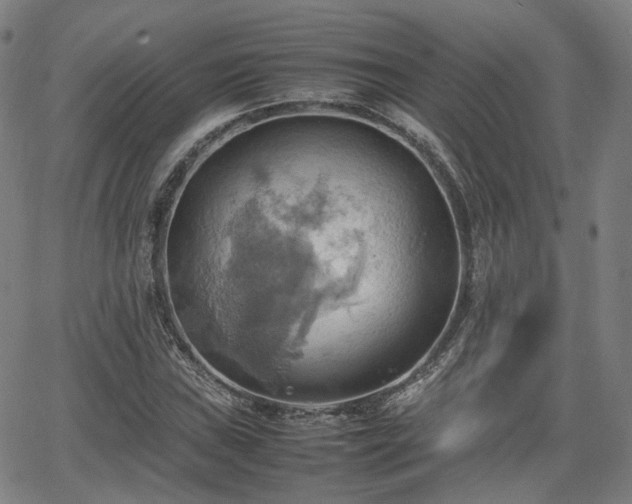 X0000064041019200601301143