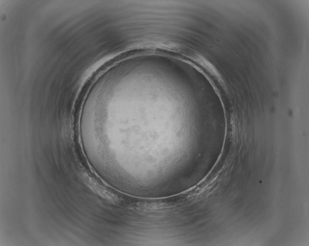 X0000064041020200601301143