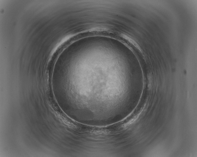 X0000064041021200601301143