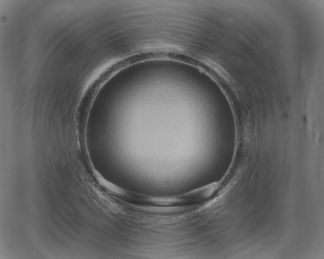 X0000064041022200601301143