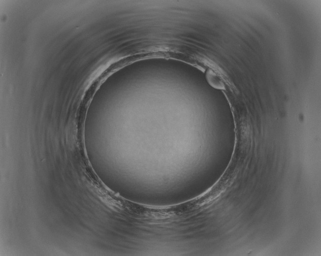 X0000064041023200601301143