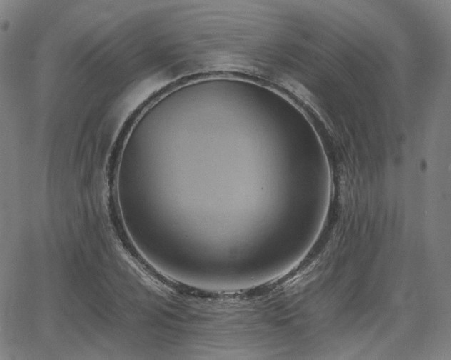 X0000064041024200601301143