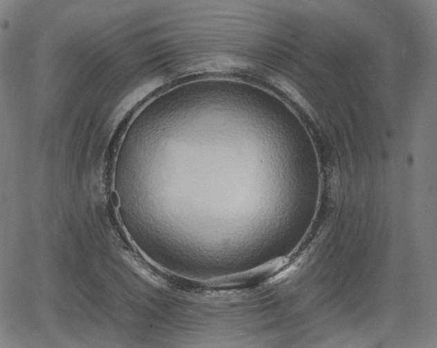 X0000064041026200601301143