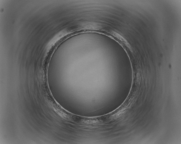 X0000064041027200601301143