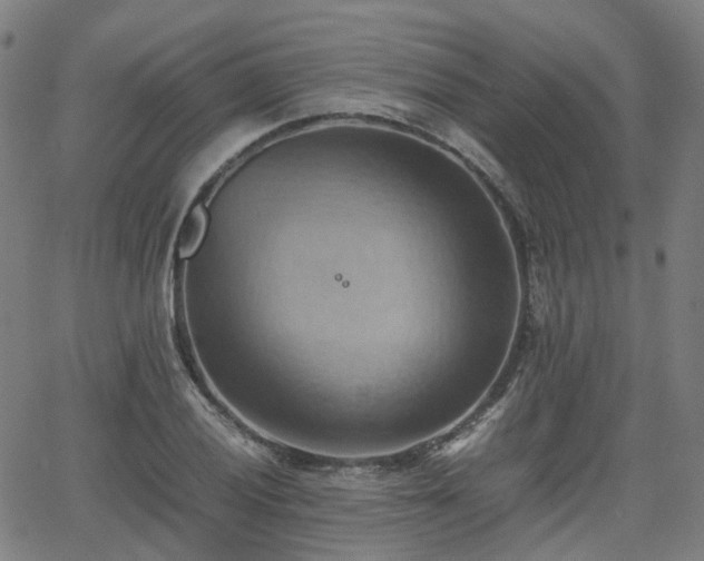 X0000064041028200601301143