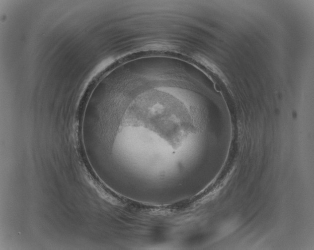 X0000064041029200601301143