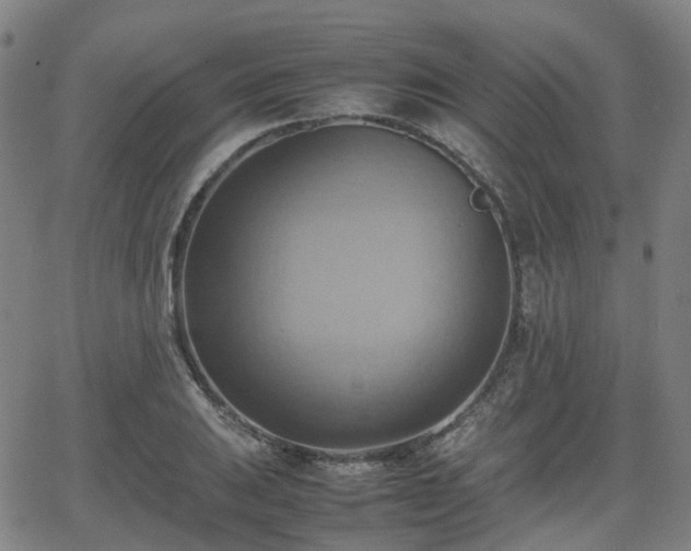 X0000064041031200601301143