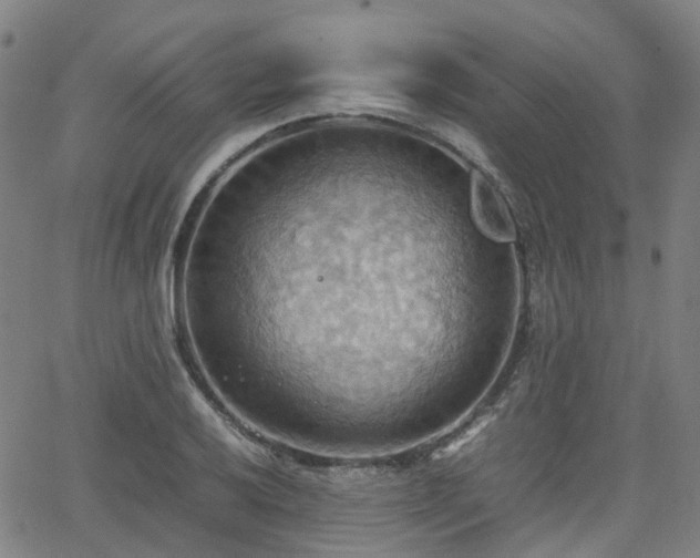 X0000064041032200601301143