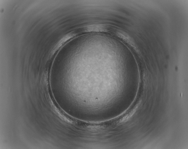 X0000064041033200601301143