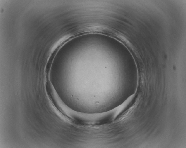 X0000064041034200601301143